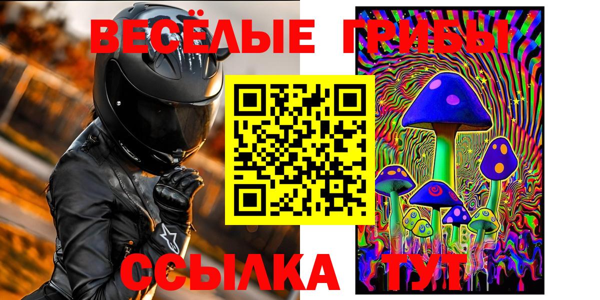 Галлюциногенные грибы ЛСД Рузаевка