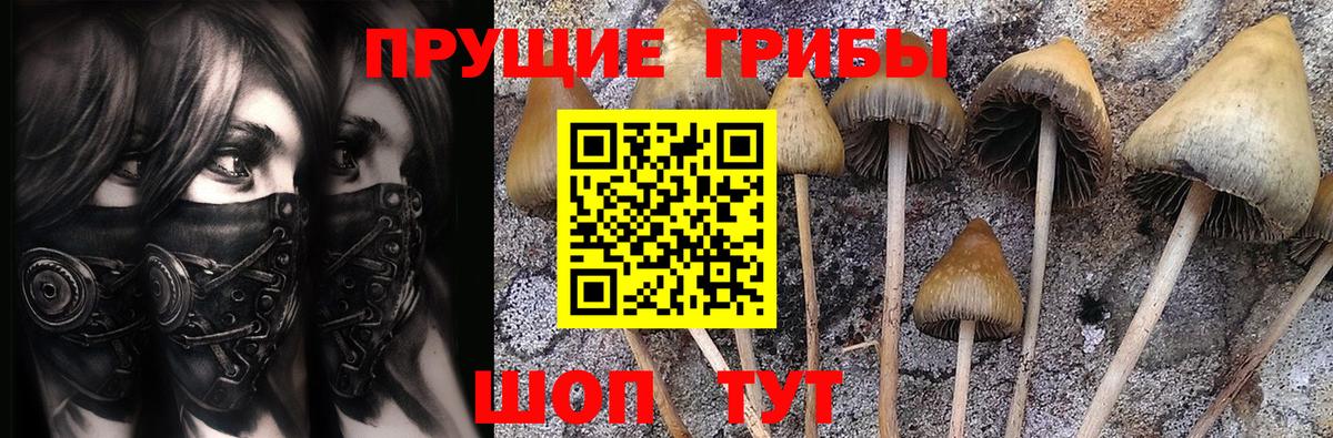 Галлюциногенные грибы мицелий  Вход с VPN  Рузаевка 